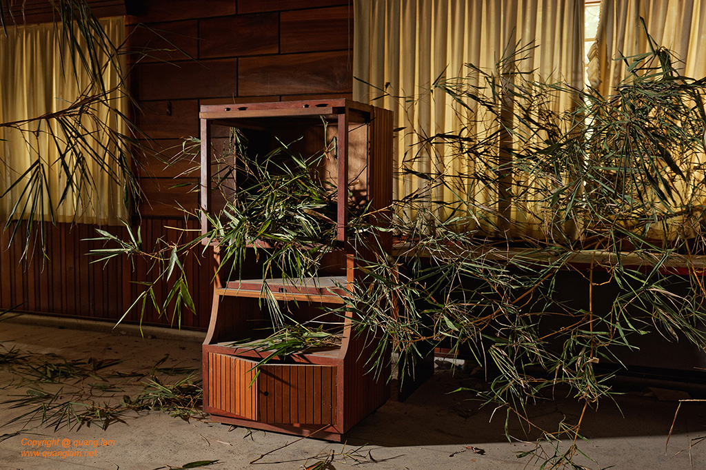 Fine art photo print In-Situ Art Installation Interior Feng Shui Landscape TV