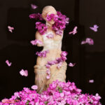 Fine art photo print Uncategorized Bougainvillea Venus