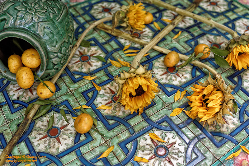 Fine art photo print Uncategorized Ceramic Sunflowers