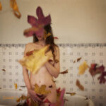 Fine art photo print Uncategorized Seasons Leaves - Autumn Falls