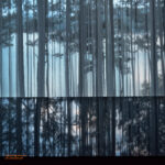 Fine art photo print Uncategorized Pines Mirror on Dalat Tuyen Lam Lake