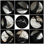 Fine art photo print In-Situ Art Installation Ink Flows - Flux Body Diagram