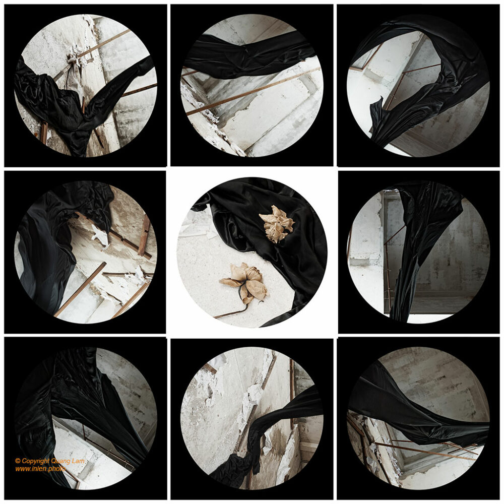 Ink Flows - Lotus Yin Yang Diagram