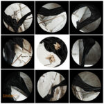 Fine art photo print Uncategorized Ink Flows - Lotus Yin Yang Diagram