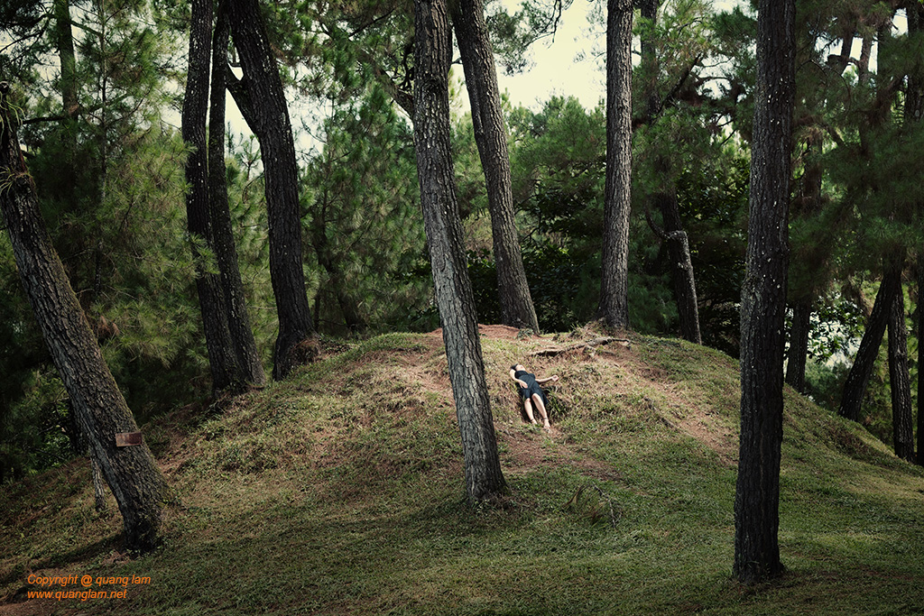 Fine art photo print Uncategorized Into the Moving Woods
