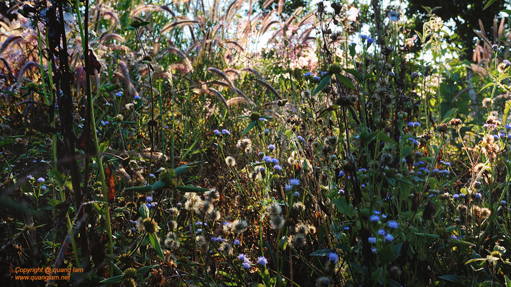 Fine art photo print Uncategorized Breath of the Wild